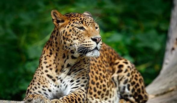 Island Hopping Experience