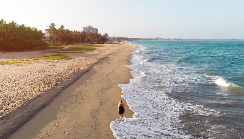 Coastal Paradise Excursion